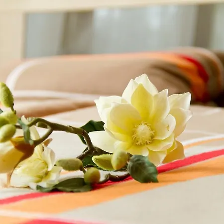 Im Bürgermeisterhaus Bad Langensalza