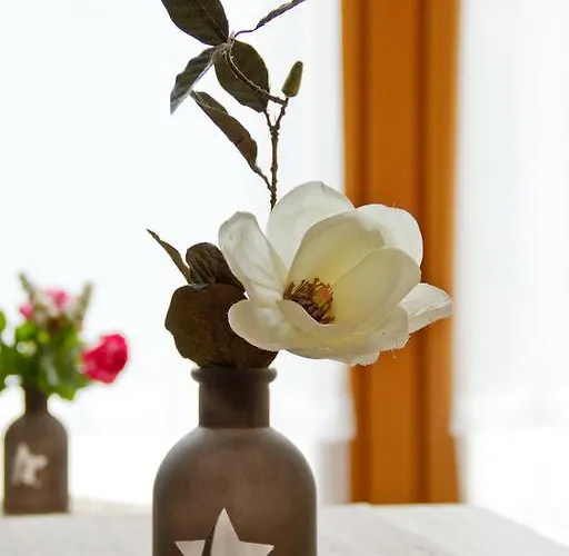 Apartment Im Bürgermeisterhaus